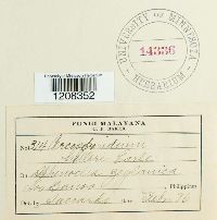 Image Associated With the Occurrence