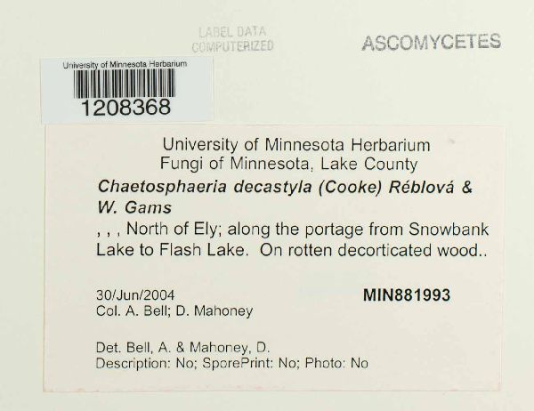 Chaetosphaeria decastyla image