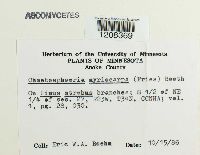 Image Associated With the Occurrence