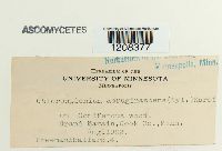 Image Associated With the Occurrence