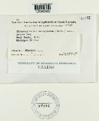 Image Associated With the Occurrence