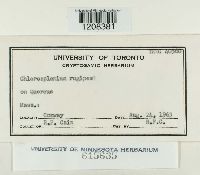 Image Associated With the Occurrence