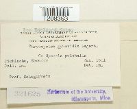 Image Associated With the Occurrence