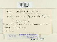 Image Associated With the Occurrence