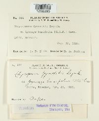 Image Associated With the Occurrence