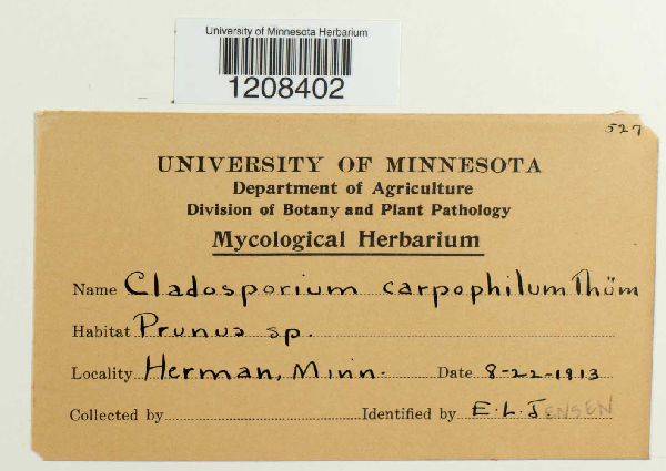 Venturia carpophila image