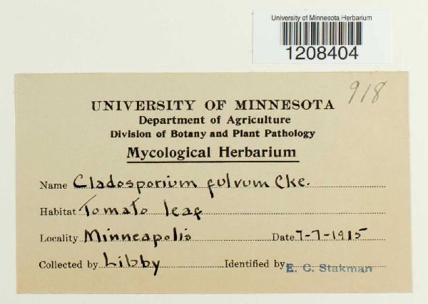 Passalora fulva image