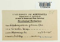 Media resource of Cladosporium fulvum