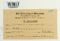 Image Associated With the Occurrence