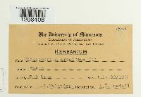 Mycosphaerella tassiana image