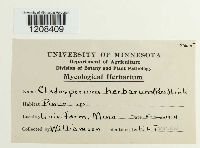 Media resource of Cladosporium herbarum