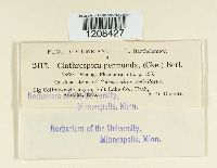 Image Associated With the Occurrence