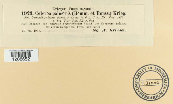 Coleroa palustris image