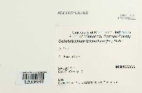 Image Associated With the Occurrence