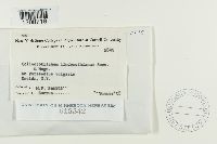 Image Associated With the Occurrence