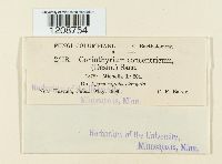 Image Associated With the Occurrence