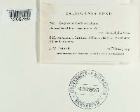 Image Associated With the Occurrence