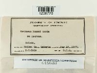 Image Associated With the Occurrence