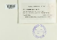 Image Associated With the Occurrence