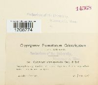 Image Associated With the Occurrence