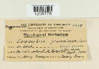 Image Associated With the Occurrence