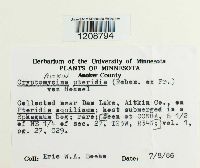 Image Associated With the Occurrence