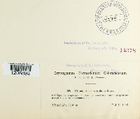 Image Associated With the Occurrence