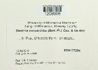 Daldinia concentrica image