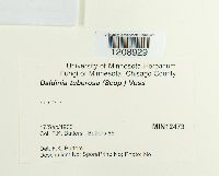 Daldinia concentrica image