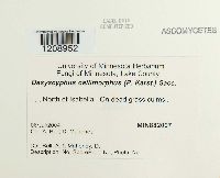 Image Associated With the Occurrence