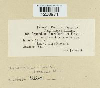 Image Associated With the Occurrence