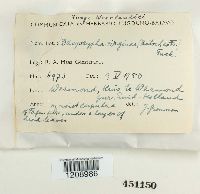 Image Associated With the Occurrence