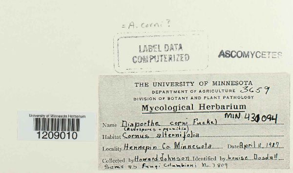 Diaporthe corni image