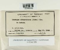 Image Associated With the Occurrence