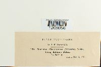 Image Associated With the Occurrence