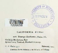 Image Associated With the Occurrence