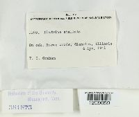 Image Associated With the Occurrence