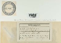 Image Associated With the Occurrence