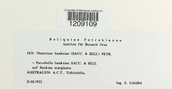 Epipolaeum image