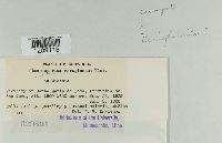 Media resource of Dimerosporium aeruginosum