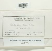 Image Associated With the Occurrence