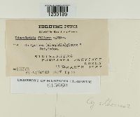 Image Associated With the Occurrence