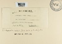 Image Associated With the Occurrence