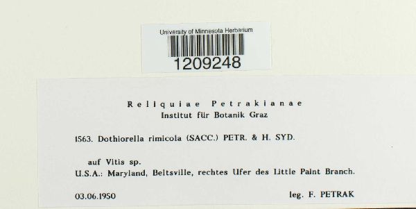 Botryosphaeriaceae image