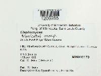 Image Associated With the Occurrence