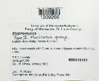 Image Associated With the Occurrence