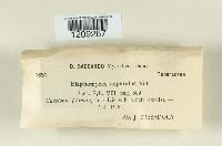 Image Associated With the Occurrence