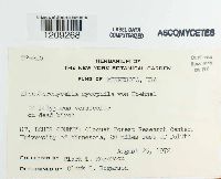 Image Associated With the Occurrence