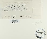 thumbnail image of current specimen