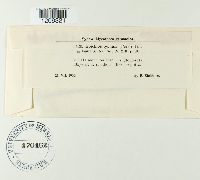 Thumbnail image of current specimen